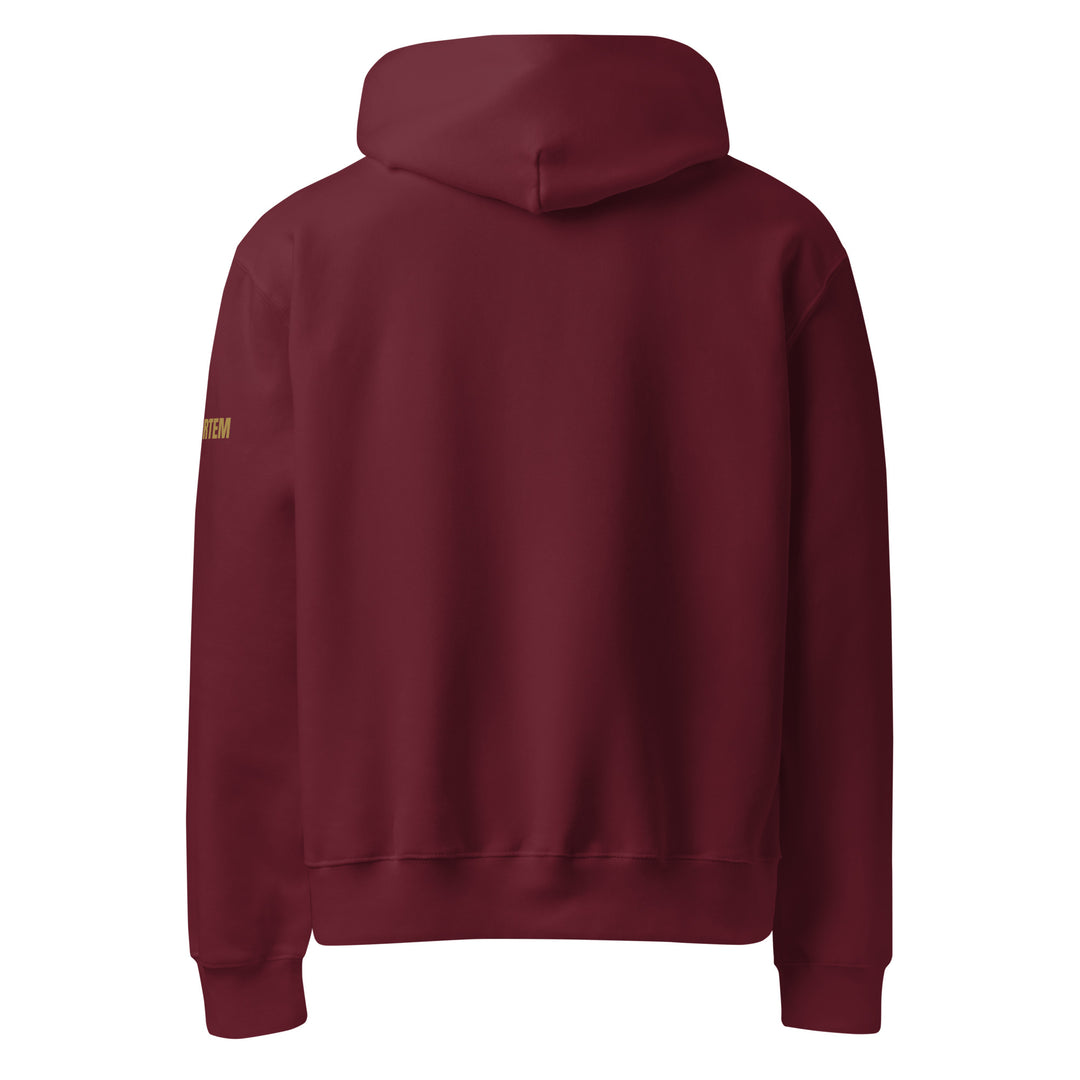 Discipline Over Motivation-Fortem Apparel